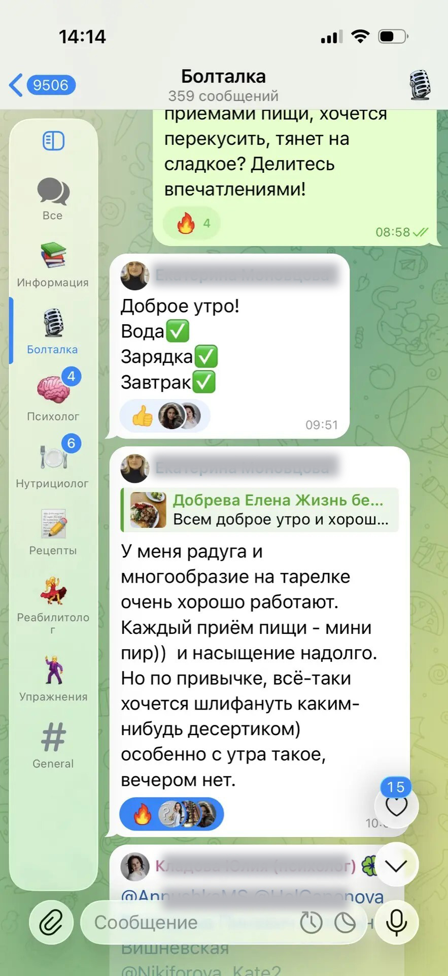 Скриншот чата 2